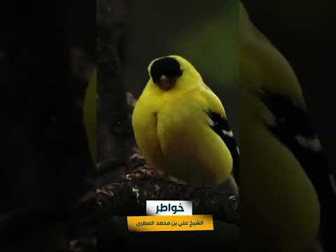 اللهم اني اعوذ بك من الكفر والفقر