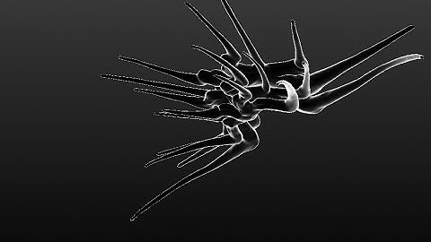 3D Modeling Timelapse - Shadow Vessel P1