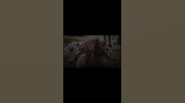 تلاوة عذبة من القرآن الكريم الشيخ محمد اللحيدان