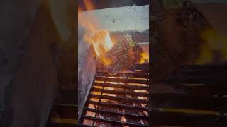 Open-Flame Steak
Fire-Cooked Steak
There’s something about cooking a steak over an open flame that just hits different—no timer, no stove, no distractions. Just fire, cast iron, and a little bit of smoke curling into the woods.
This wasn’t fancy. Just salt, pepper, a bit of oil, and a good cut of meat cooked right over coals. You don’t need a grill when you’ve got a fire pit and some patience. Flip once, listen for the sizzle, and pull it off just before it’s done—then let it rest while you take in the quiet.
Farm & Field Takeaway: Cooking outside reminds you how simple food can be. You grow it, hunt it, or raise it—and sometimes all it needs is fire.
#RestitutoFarms #FarmToField #OpenFireCooking #HomesteadMeals #SteakOverFlame Open-Flame Steak