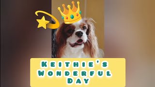 A CAVALIER KING CHARLES SPANIEL PERFORMANCE CALLED ☆ KEITHIE'S WONDERFUL DAY ☆