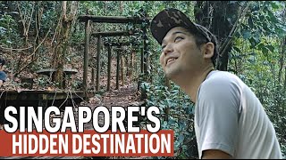 Journey to Singapore's Secret Japanese Shrine Gates
