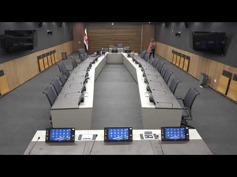 Comisión Especial del Sector Energético Nacional, 22 enero 2026