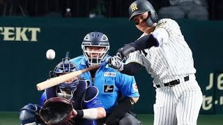 ---option 森下翔太、待望の32号！🔥 #阪神タイガース #森下翔太 #阪神 #プロ野球 #NPB #甲子園 #ホームラン #本塁打 #佐藤輝明 #野球