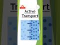 Active Transport
