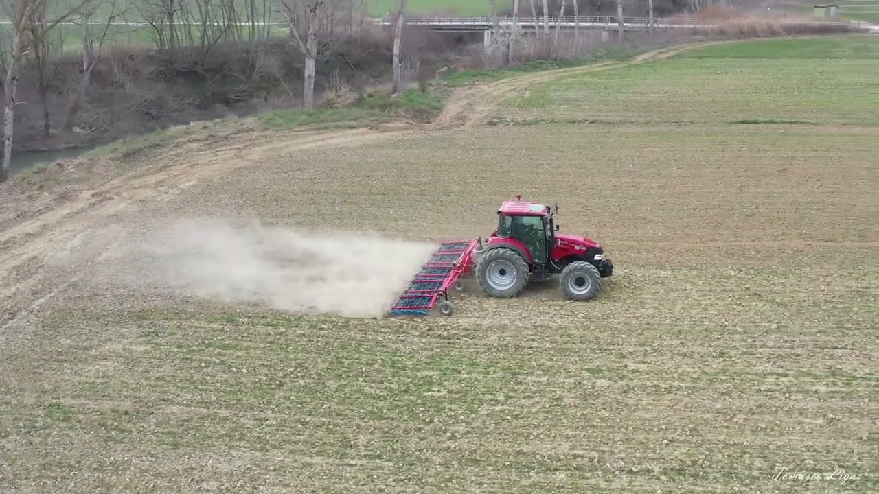 Strigliatura su coltura di grano sofferente per la siccità