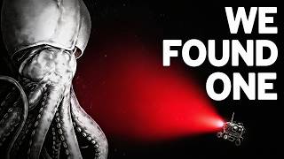 There’s Millions of Colossal Squids. So Why Are They All In One Spot