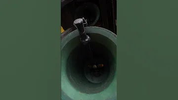 Basilika Wilten Vollgeläute Campane Bells Glocken Music Church Austria Shorts Viralvideo 