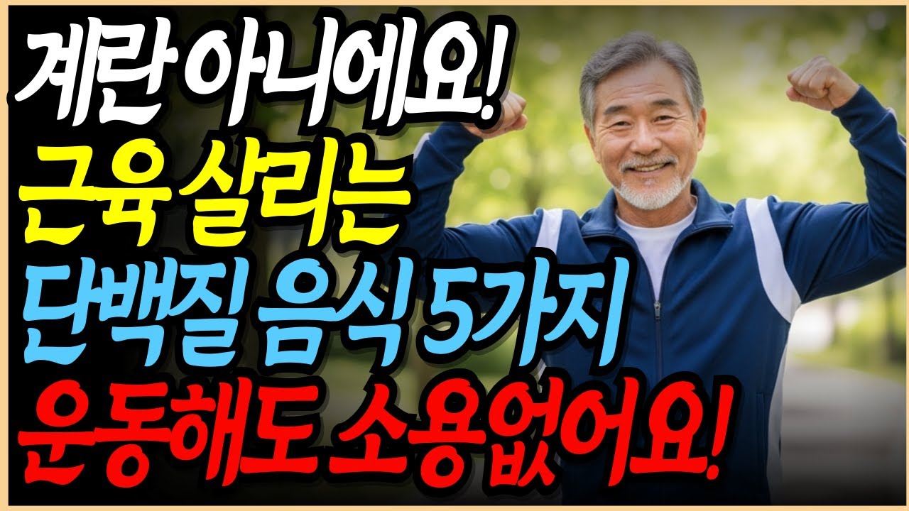 계란보다 단백질 10배 많은 5가지 음식｜60세 이후 근육 손실 예방｜단백질 섭취｜단백질 음식 ｜노후건강｜흡수율 2배 높이는 방법｜근육음식｜건강한노년｜노후지혜｜오디오북
