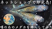 メダカの睡眠中はこうなる Youtube