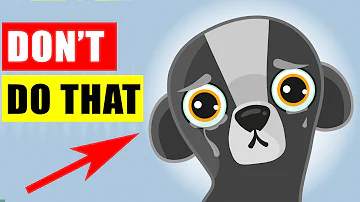 Does the smell of smoke scare dogs?