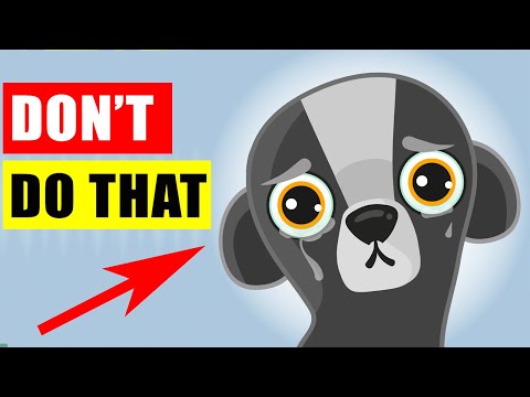 Vidéo: Ce chien de service apporte à son être humain la chose la plus étrange chaque fois qu'elle est triste