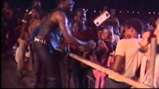 Video thumbnail of "Toots & the Maytals - Reggae Sunsplash (Jamaica,1982)"