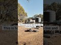 #offgrid #offgridliving #arizona #remotework #solar #solarsystem #water #remote