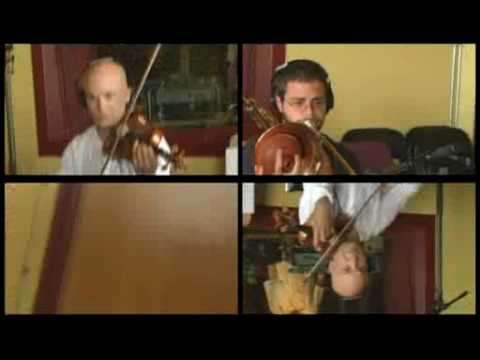 Cuivres et cordes au studio M - Navet Confit