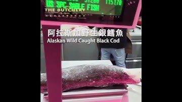 Alaskan wild caught black cod fish ( 阿拉斯加野生銀鱈魚）