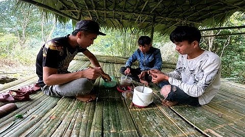 Làm nhà trên rừng | vào rừng đặt bẫy chuột gặp khu lợn rừng kiếm ăn | chung Núi Rừng