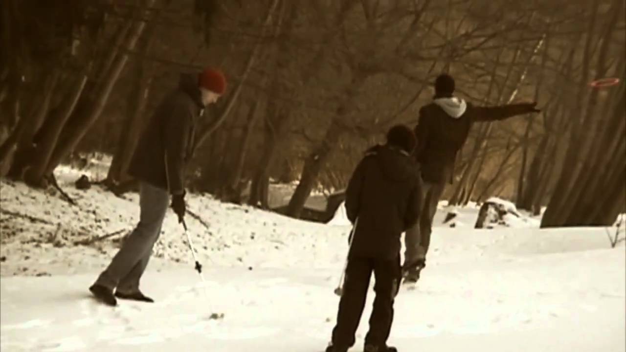 Disc Golf or Crossgolf Fusion Extreme Target Golf Austrian Woods