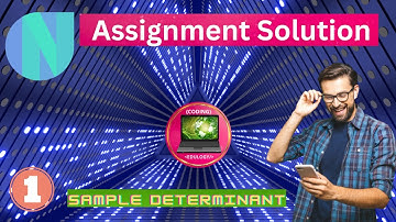 Newton school assignment | 2D Array questions | Simple Determinant | Newton School Assignment Answer