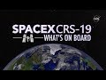 What Launches to Space On SpaceX’s 19th Cargo Mission?