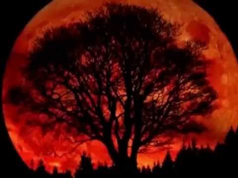channel dunia nyata Subhanallah Aneh tapi Nyata Gerhana Bulan Merah Darah channel dunia nyata Subhanallah Aneh tapi Nyata Gerhana Bulan Merah Darah