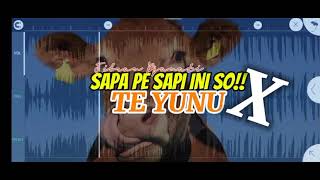DJ VIRAL - SAPA PE SAPI INI SO!! X TE YUNU (DJ KAMPUNG REMIX 2025)