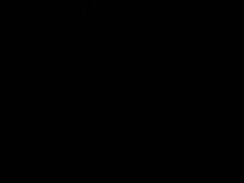 معليشى انت مالك يا واد
