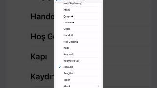 Ribaund Apple Iphone Zil Sesi