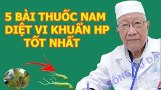 Lương Y Tiết Lộ 5 Cách Diệt Vi Khuẩn HP Dạ Dày Bằng Thuốc Nam Tốt Nhất