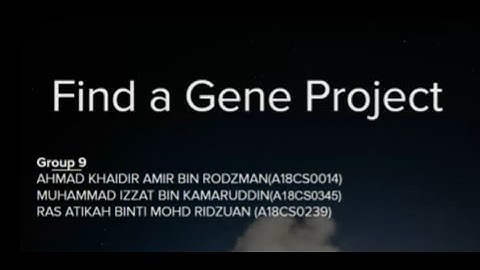 Find A Gene Bioinformatics Project :Tourette Syndrome