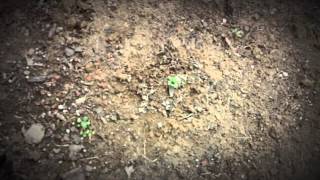 ☁ 9 Chronicles with much anticipated garden update