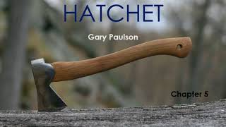 Hatchet Chapter 5
