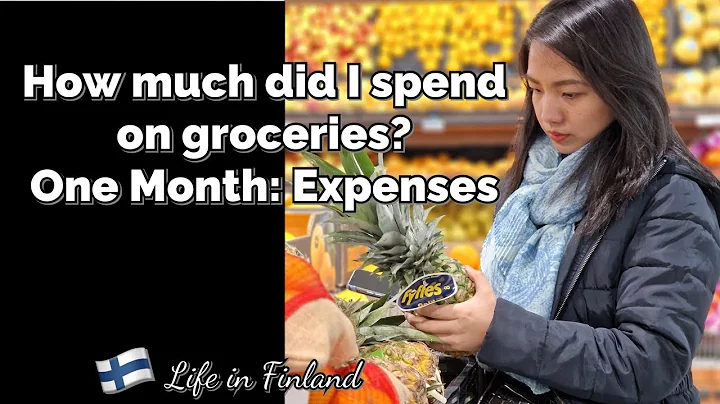 Food/Grocery Shopping Expenses in Finland Grocerie...