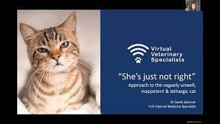 VVS Feline Medicine Webinar 'She's just not right' The Vague Cat with Dr Sarah Spencer