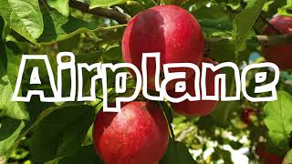 화강 황토펜션 산속속_ 철원 펜션  추천!