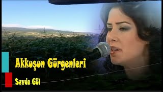 Sevda Gül  ||  Şu Akkuş'un Gürgenleri || Resimi