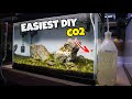 DIY CO2 for your PLANTED AQUARIUM!! 1 BOTTLE METHOD!