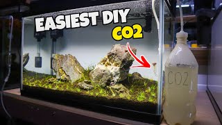 DIY CO2 for your PLANTED AQUARIUM!! 1 BOTTLE METHOD!