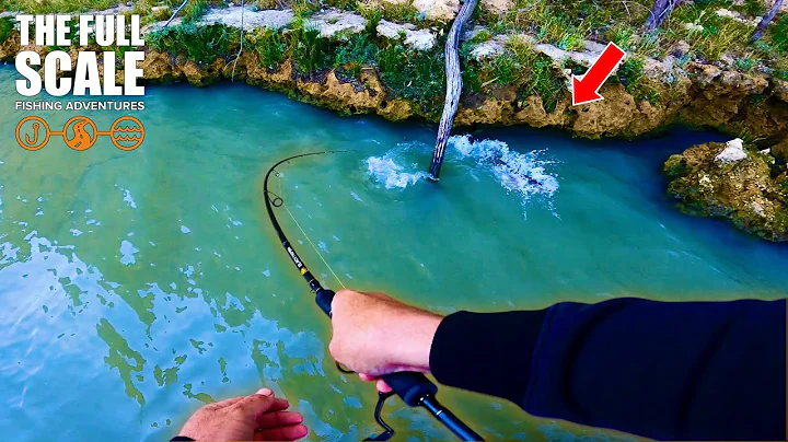 Golden Perch Fishing With BIG Surprise | The Full Scale