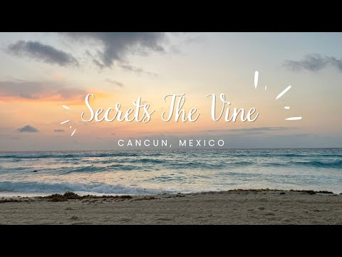 Secrets The Vine in Cancun, Mexico - Walkthrough, videos, photos, and review