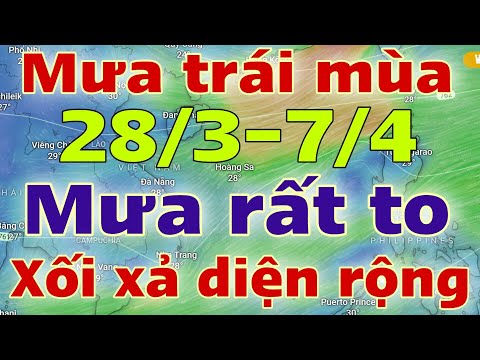 Dự báo thời tiết hôm nay và ngày mai 29/3/2024 