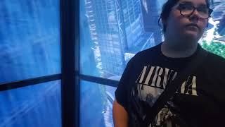 One World Observatory Elevator Ride after Visiting Floor 102