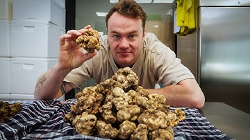 We Hunted & Cooked the Rarest Food on Earth (White Truffles)