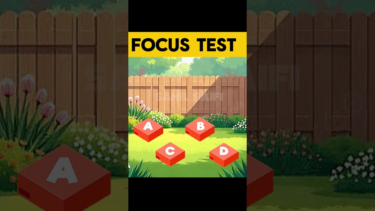 Focus Test For Genius | Focus Test 
