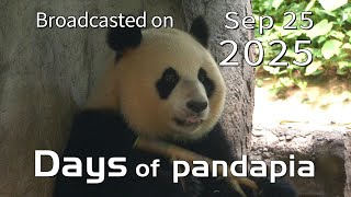 20250925 Broadcast Top Highlights 04