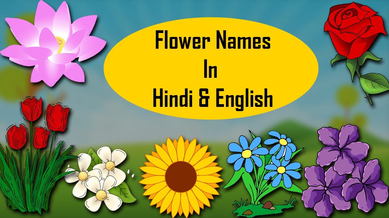 Flower Names In Hindi & English - YouTube