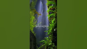 قُلْ يَجْمَعُ بَيْنَنَا رَبُّنَا | سورة سبأ {٢٦} || محمد صديق المنشاوي