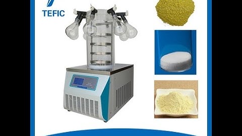 TF-10C Vacuum Freeze Dryer/Lyophilizer