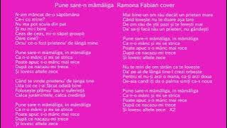 Pune sare-n mamaliga  -  karaoke