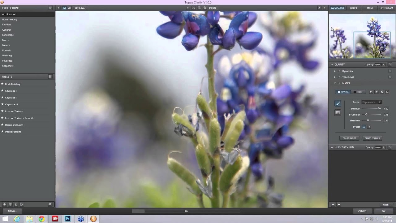 Flower Photography Basics